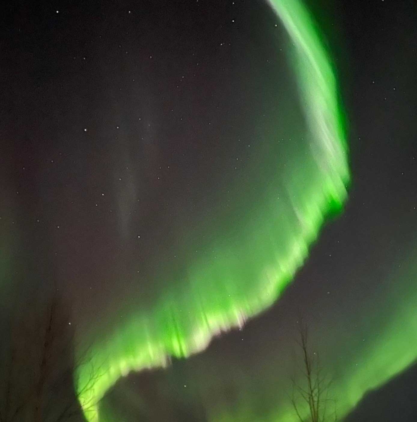 Customer pics from Jan 2025 trip