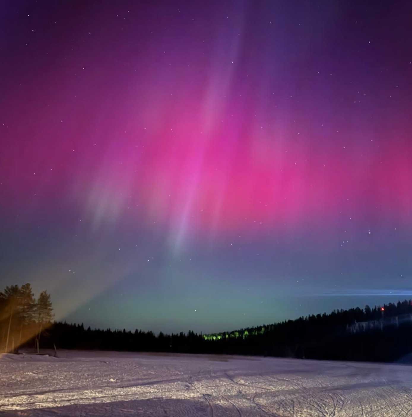 Customer pics from Jan 2025 trip