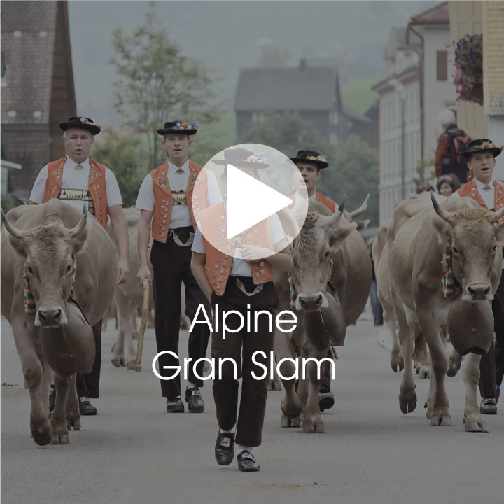 Alpine Grand Slam Video