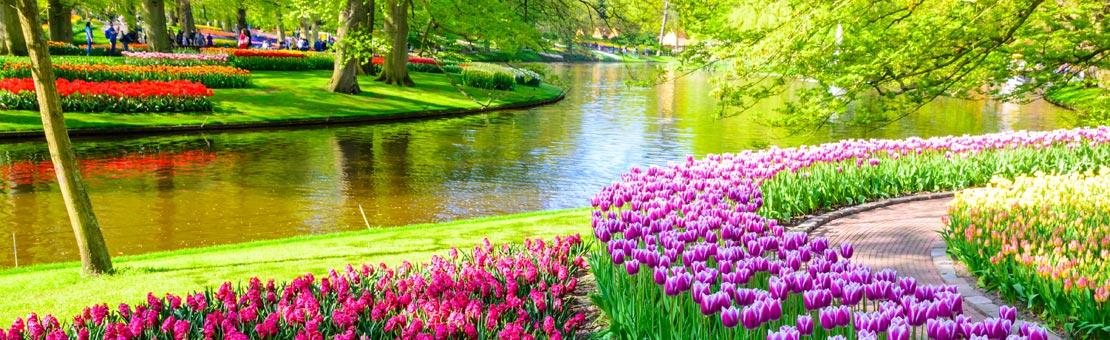 Amsterdam Keukenhof Gardens