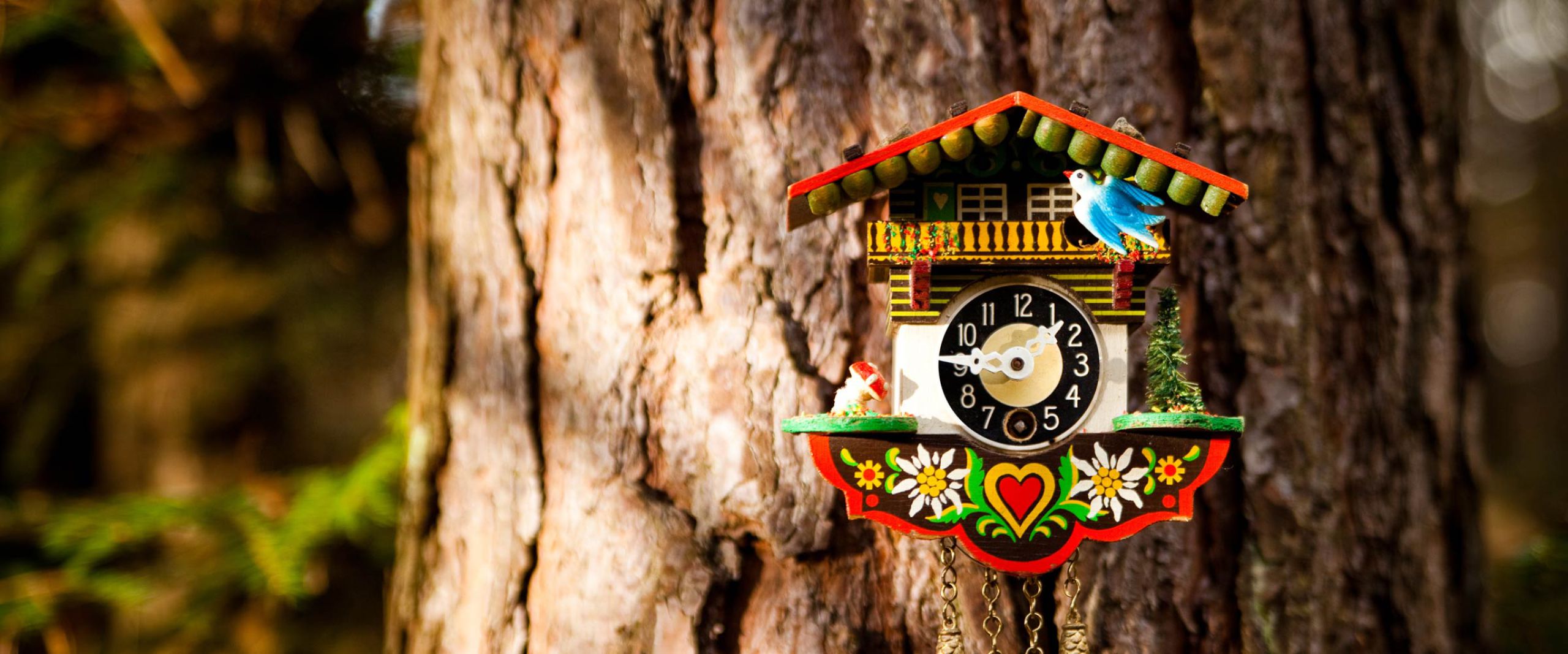 Black Forest Traditional Clock