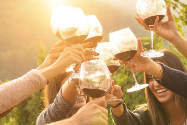 Wine Fest