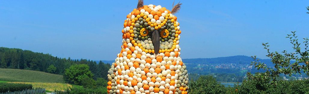 Pumpkin Owl