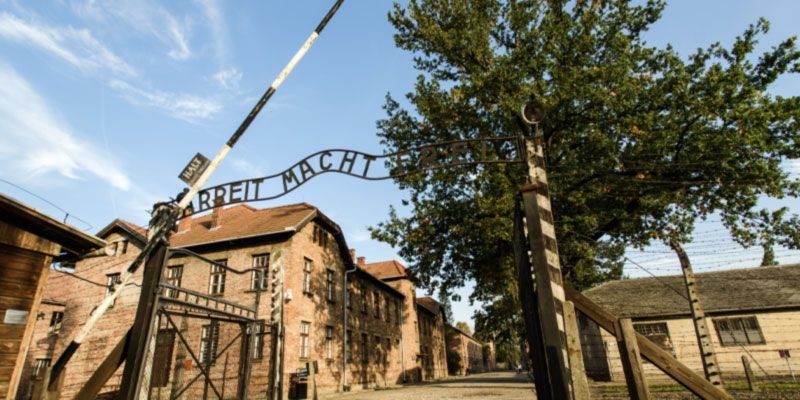  Auschwitz Concentration Camp