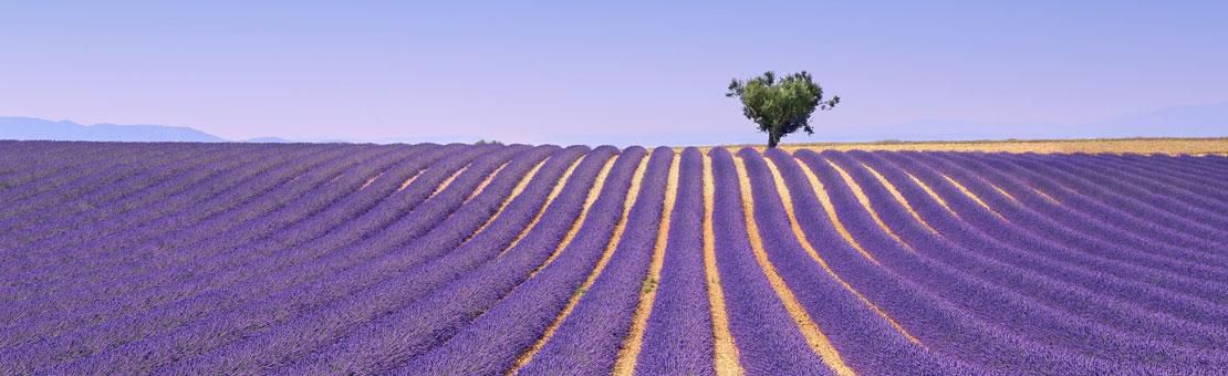 Provence France