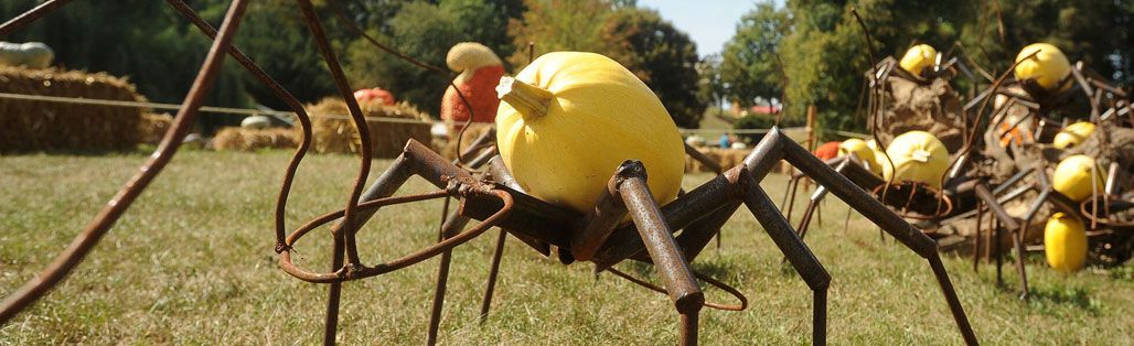 Pumpkin Spider