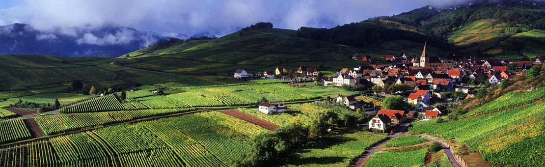 Alsace Vineyards C Crta Vardon