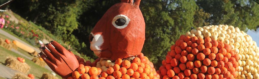 Pumpkin Squirrel